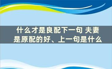 什么才是良配下一句 夫妻是原配的好、上一句是什么